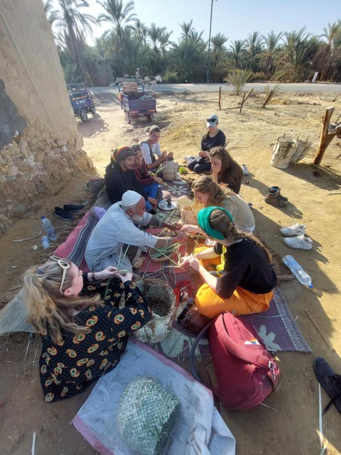 Forest Camp Siwa - كامب الغابة Siwa Oasis Exteriör bild