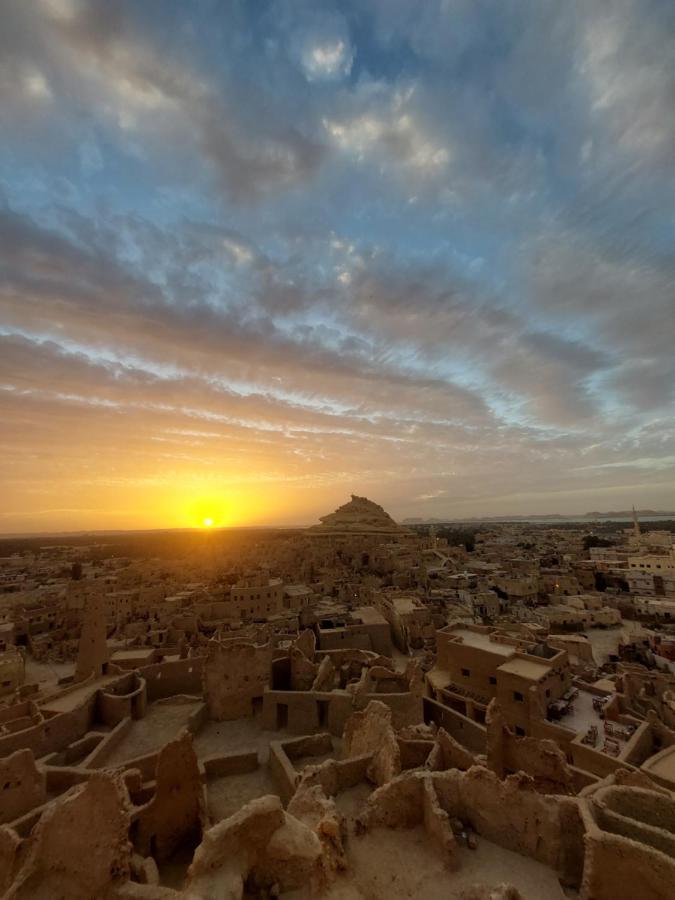 Forest Camp Siwa - كامب الغابة Siwa Oasis Exteriör bild