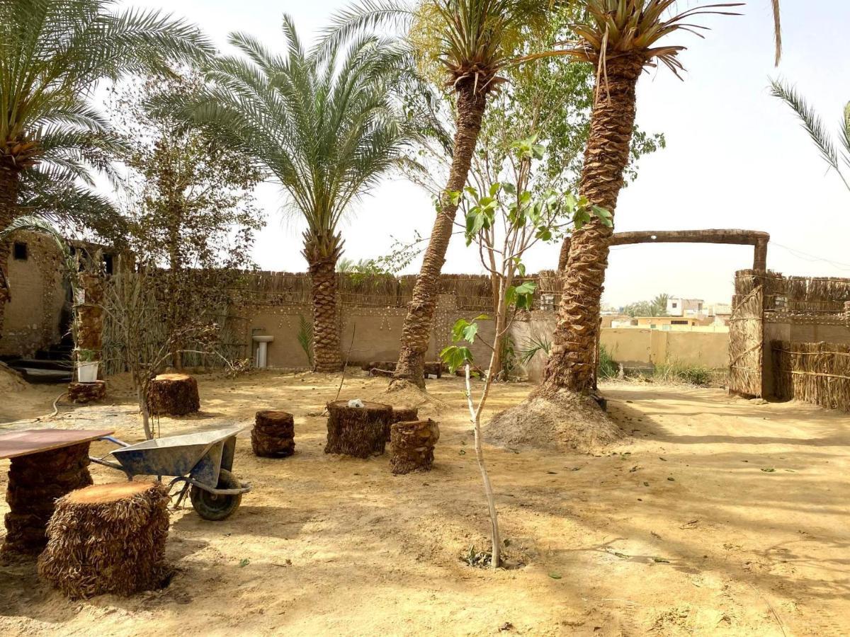 Forest Camp Siwa - كامب الغابة Siwa Oasis Exteriör bild