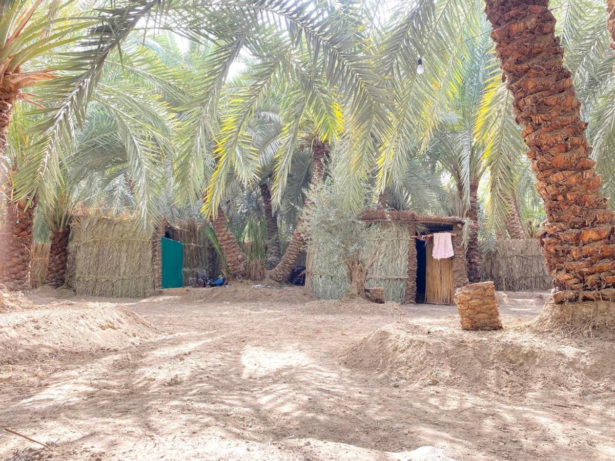 Forest Camp Siwa - كامب الغابة Siwa Oasis Exteriör bild