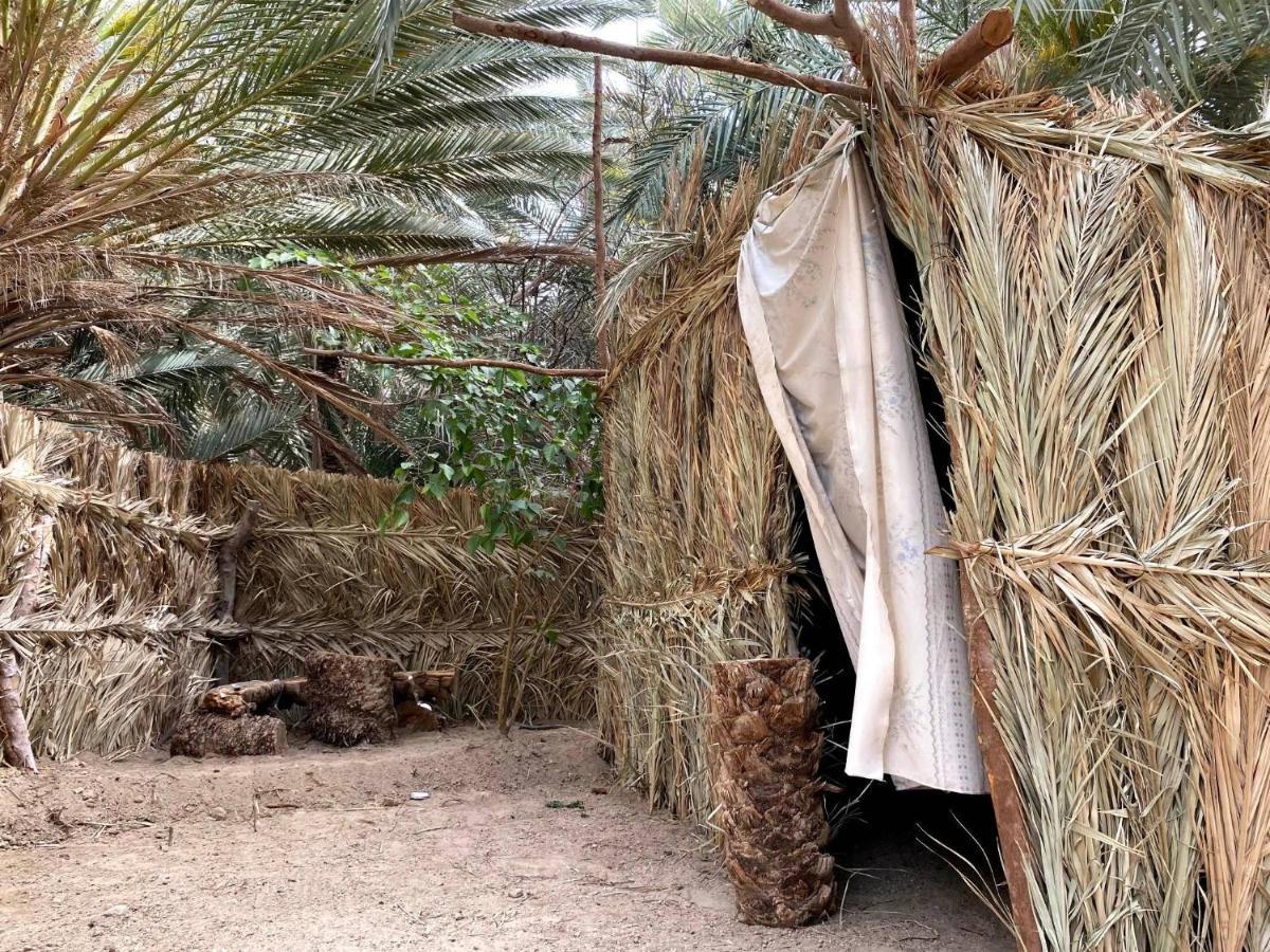 Forest Camp Siwa - كامب الغابة Siwa Oasis Exteriör bild