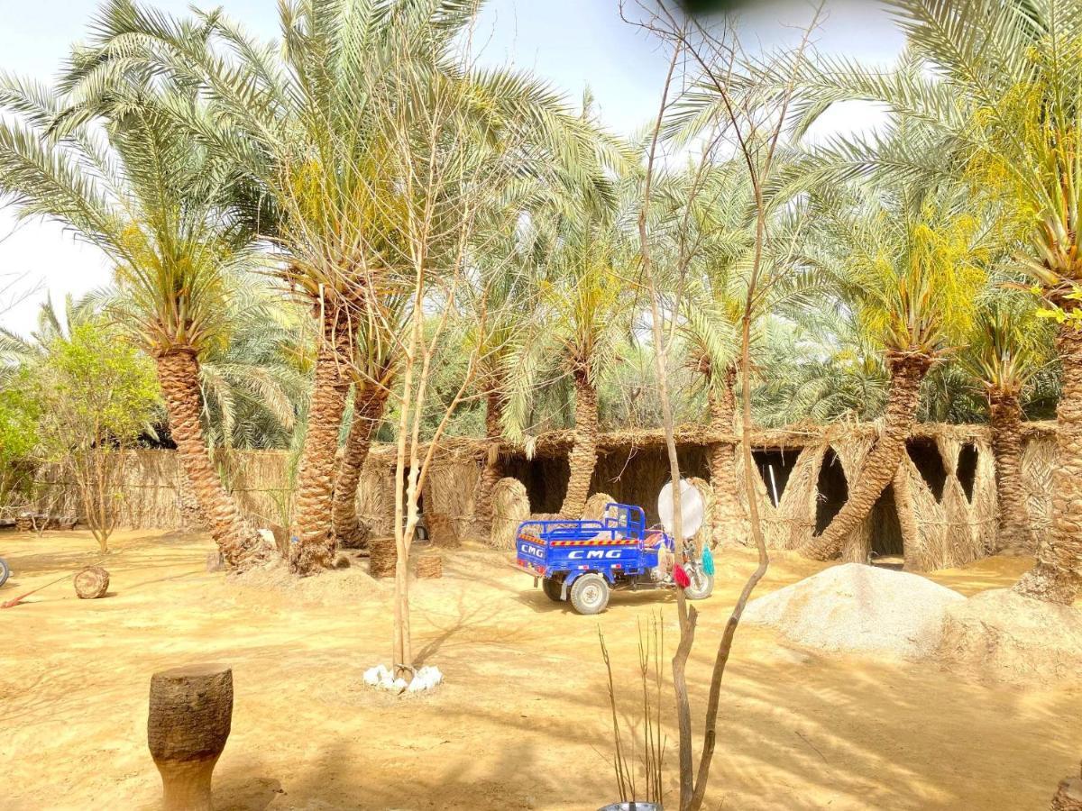 Forest Camp Siwa - كامب الغابة Siwa Oasis Exteriör bild