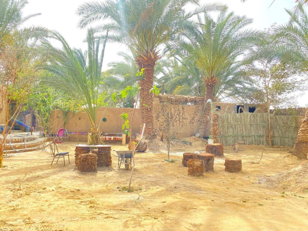 Forest Camp Siwa - كامب الغابة Siwa Oasis Exteriör bild