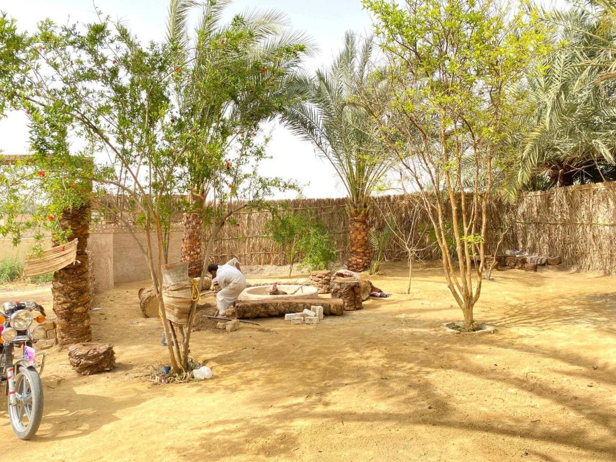 Forest Camp Siwa - كامب الغابة Siwa Oasis Exteriör bild