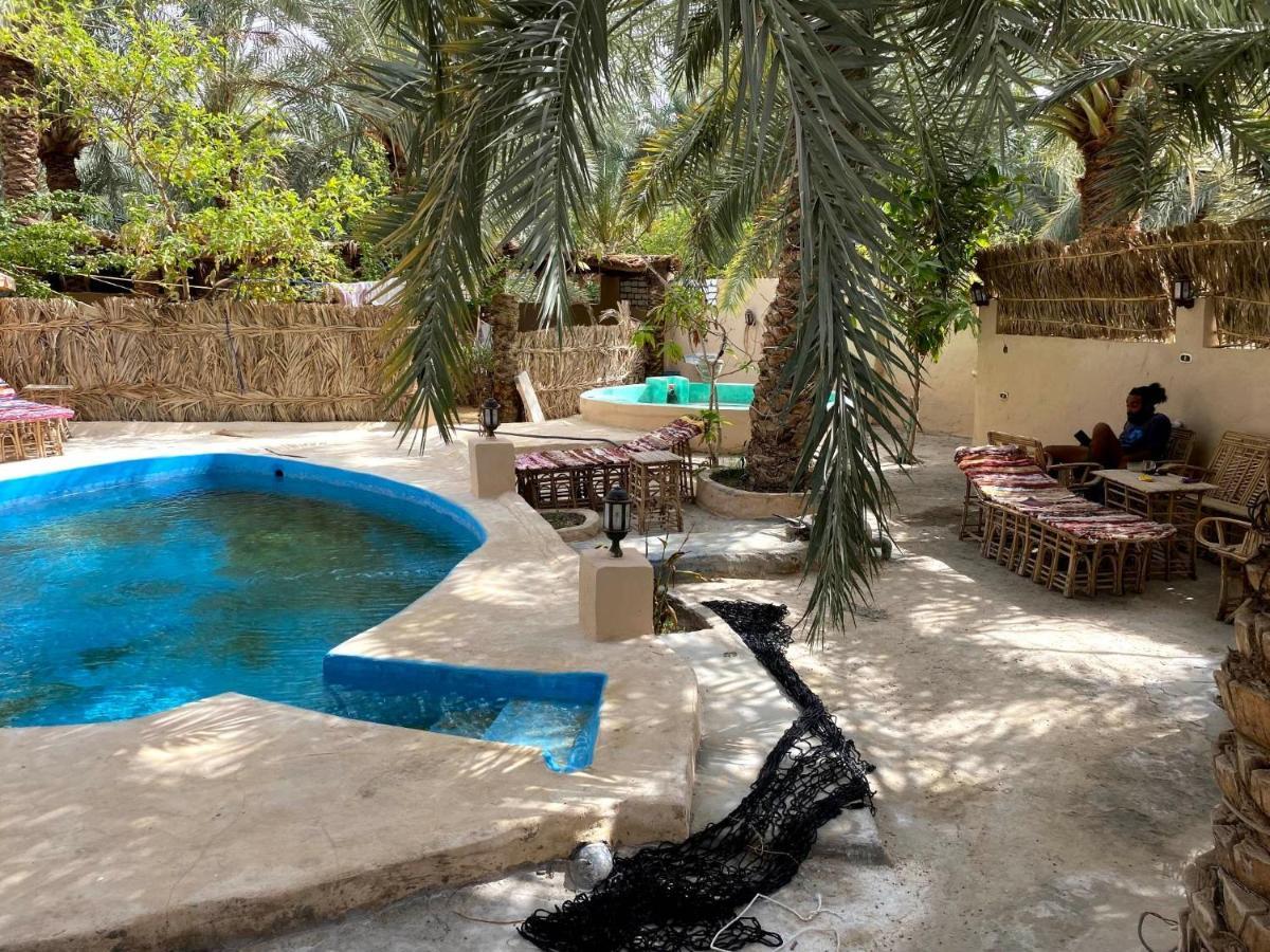 Forest Camp Siwa - كامب الغابة Siwa Oasis Exteriör bild