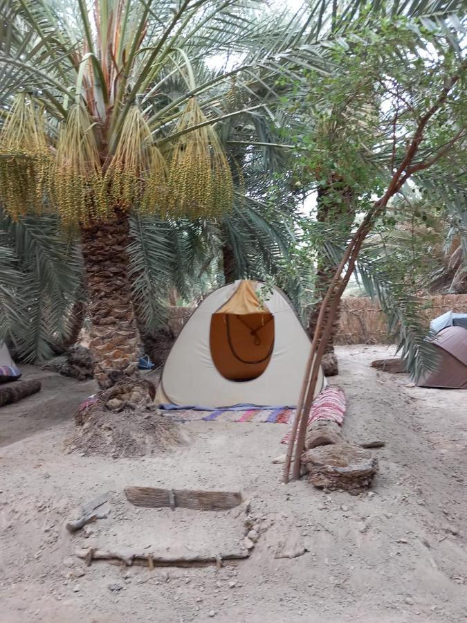 Forest Camp Siwa - كامب الغابة Siwa Oasis Exteriör bild