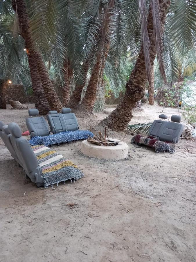 Forest Camp Siwa - كامب الغابة Siwa Oasis Exteriör bild