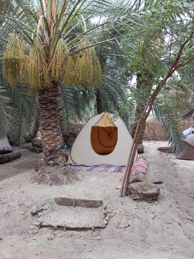 Forest Camp Siwa - كامب الغابة Siwa Oasis Exteriör bild