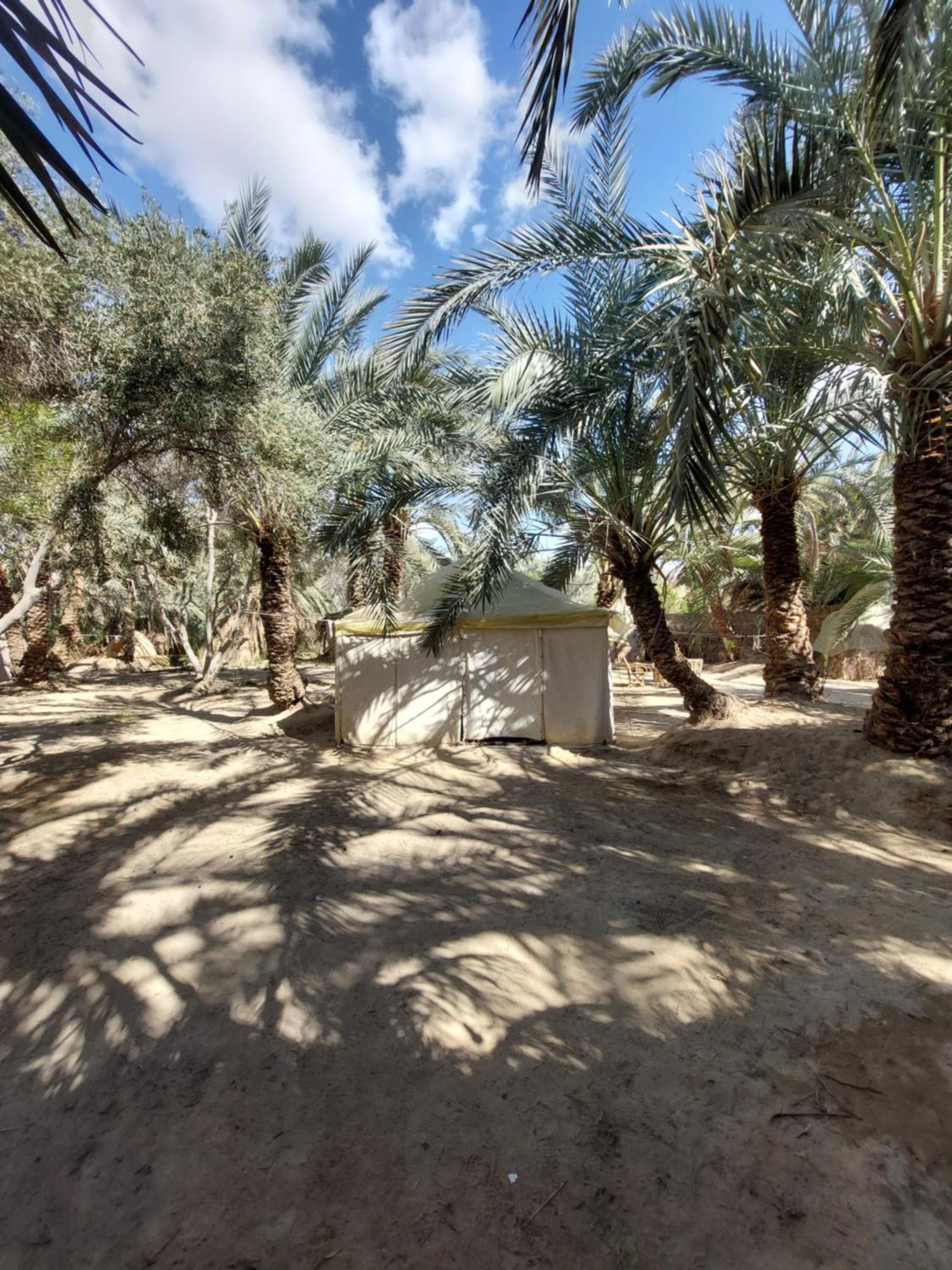 Forest Camp Siwa - كامب الغابة Siwa Oasis Exteriör bild