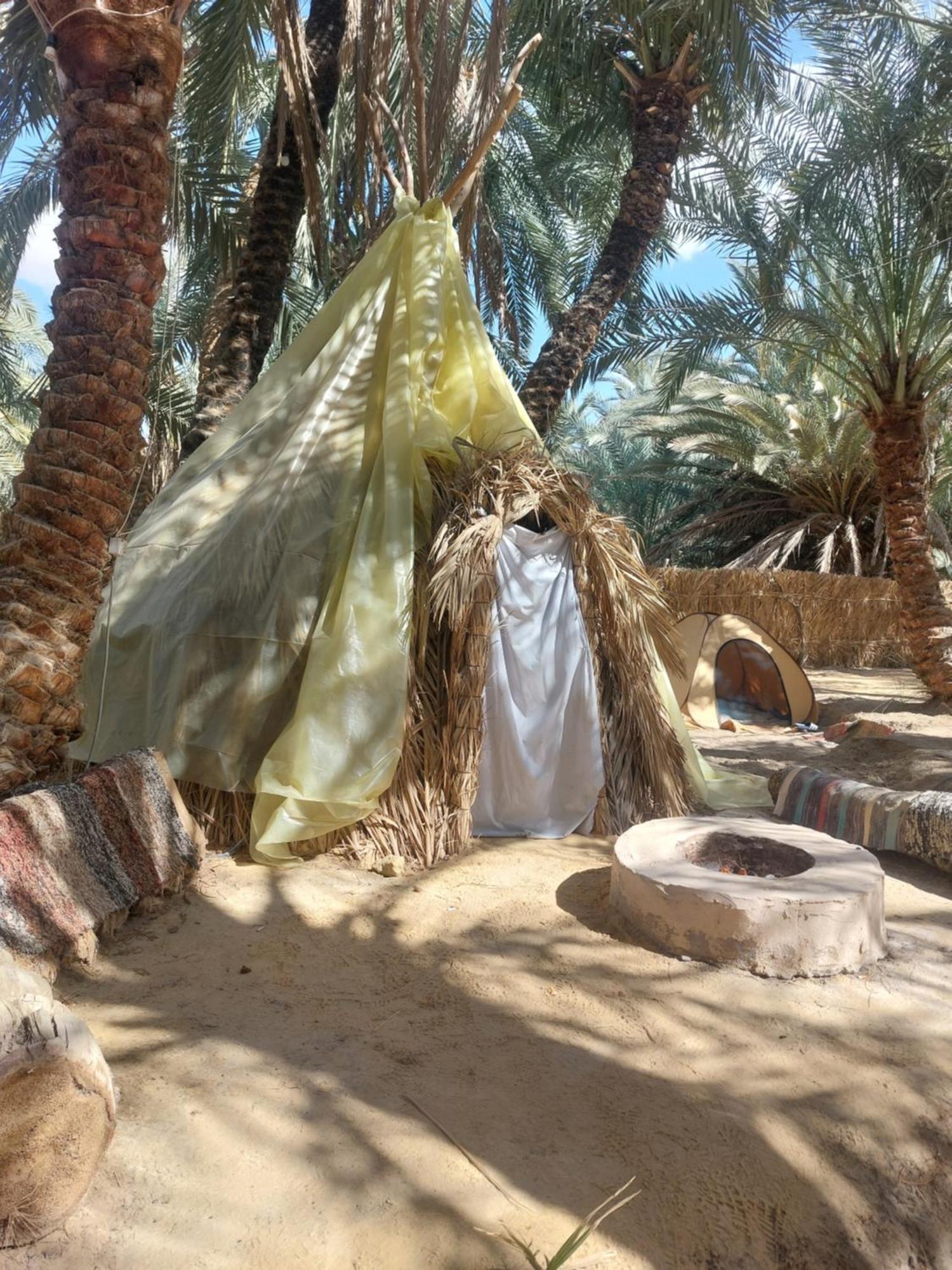 Forest Camp Siwa - كامب الغابة Siwa Oasis Exteriör bild