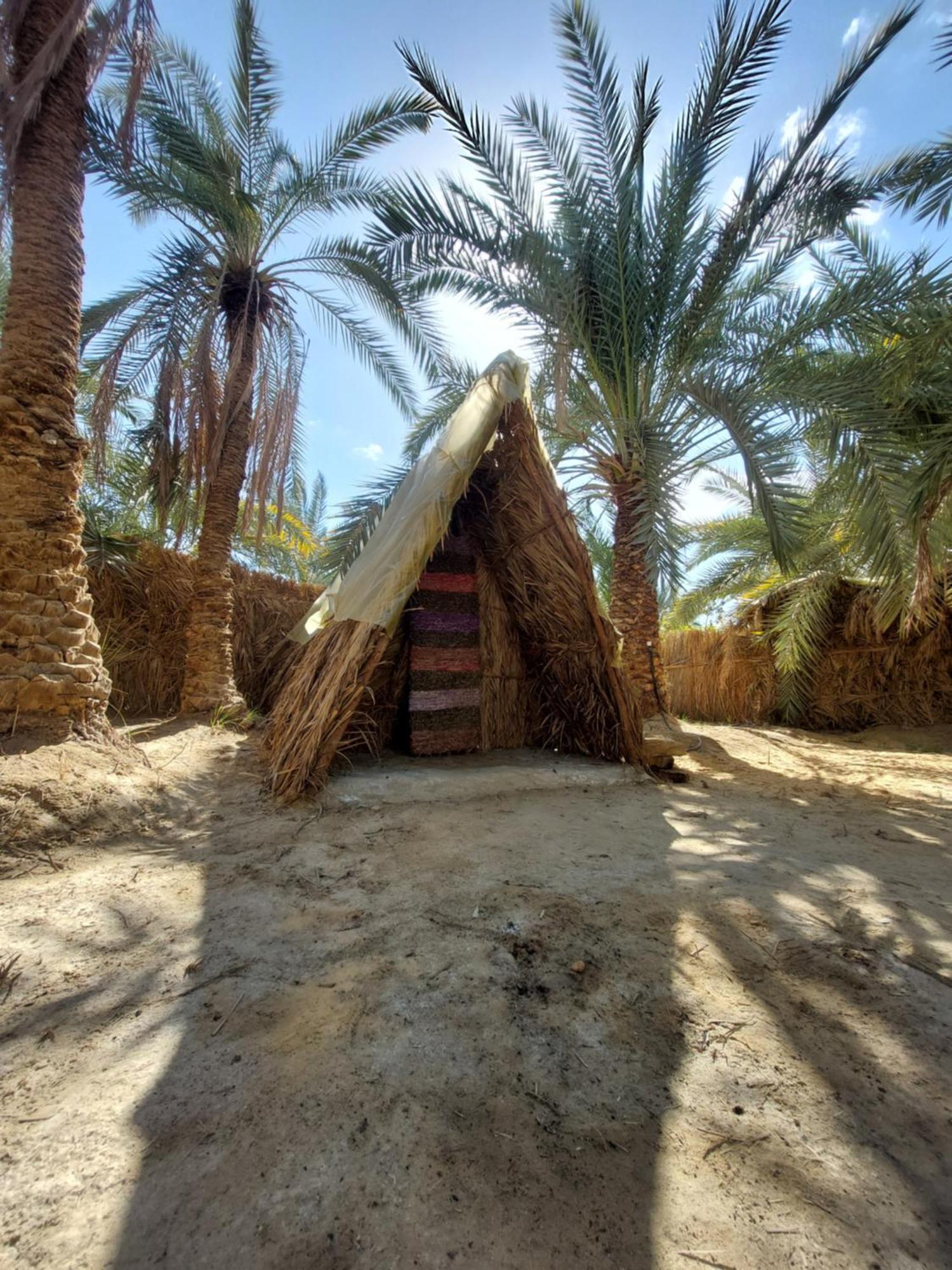 Forest Camp Siwa - كامب الغابة Siwa Oasis Exteriör bild