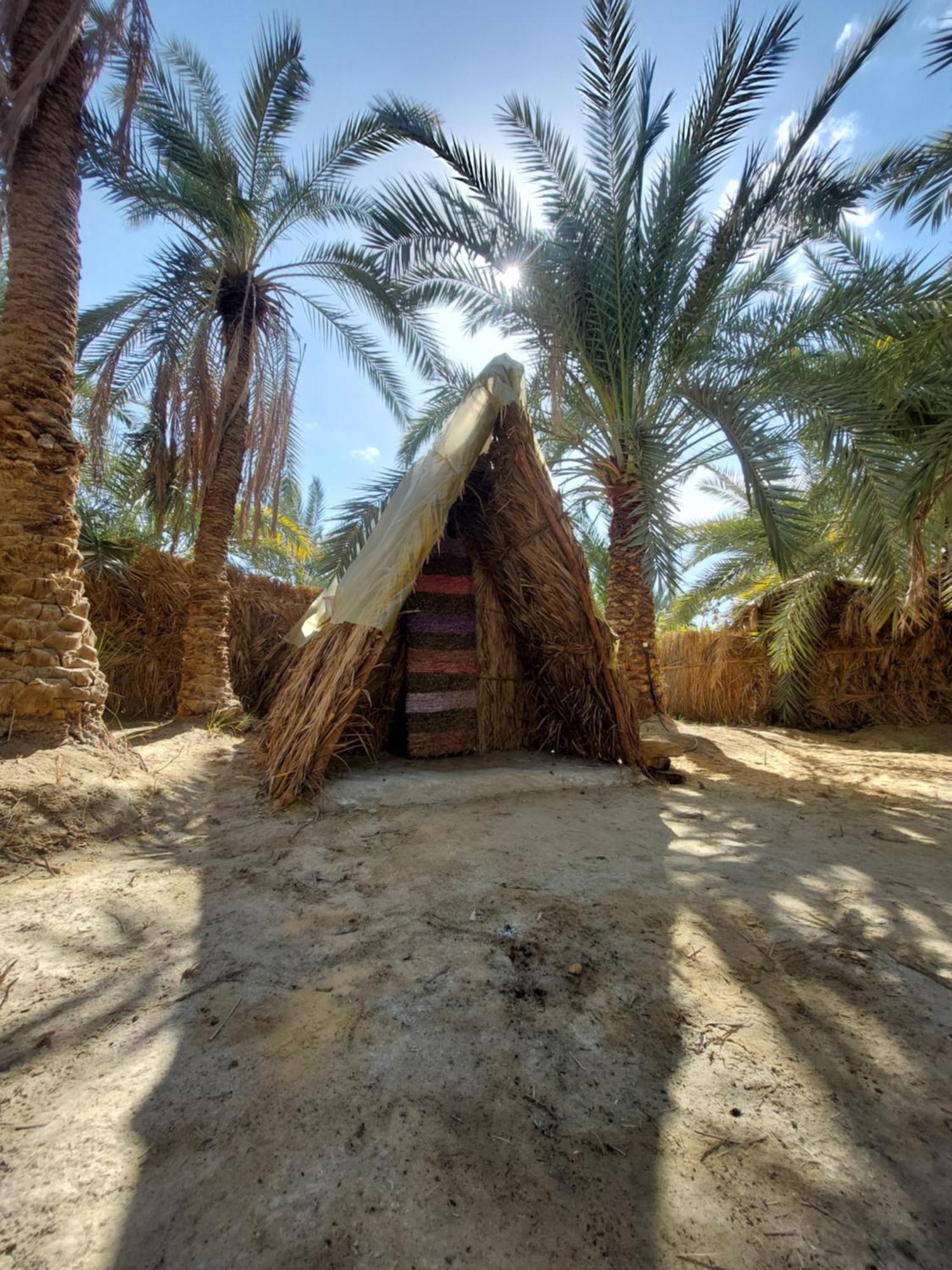 Forest Camp Siwa - كامب الغابة Siwa Oasis Exteriör bild