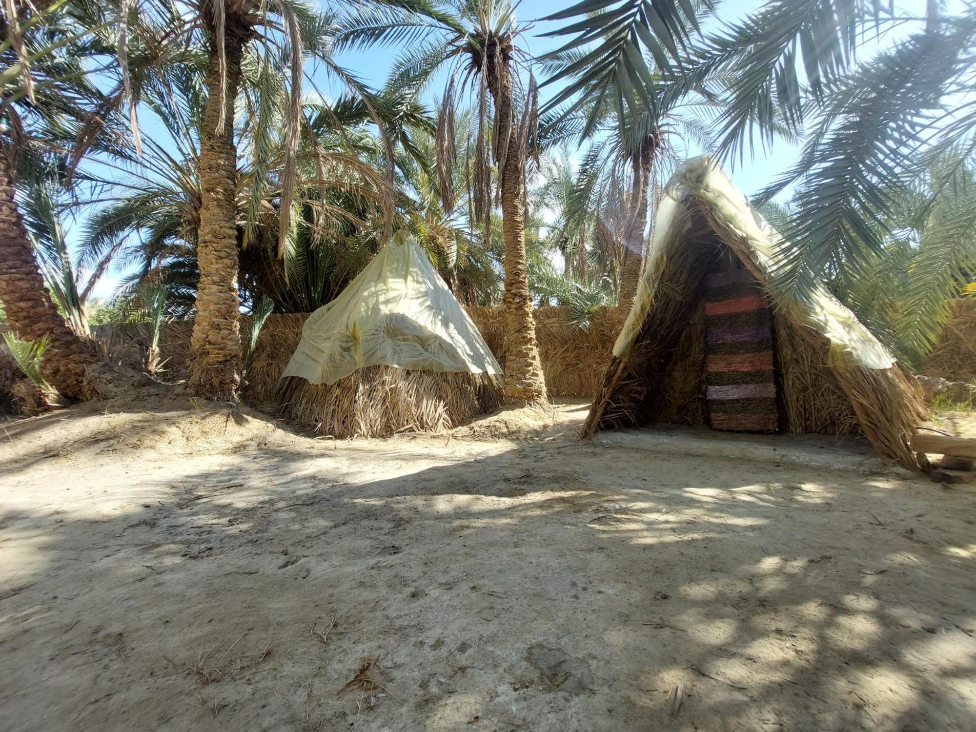 Forest Camp Siwa - كامب الغابة Siwa Oasis Exteriör bild