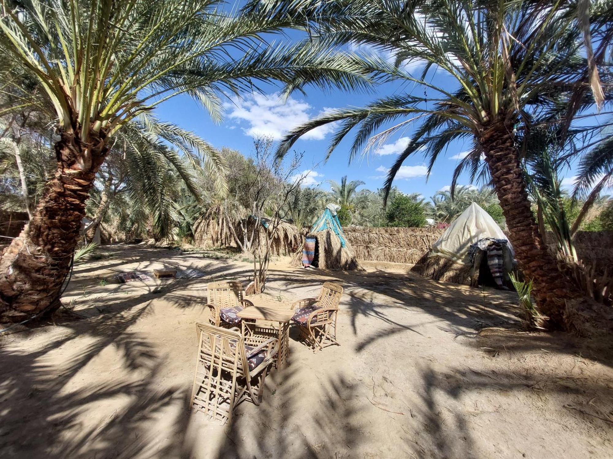 Forest Camp Siwa - كامب الغابة Siwa Oasis Exteriör bild