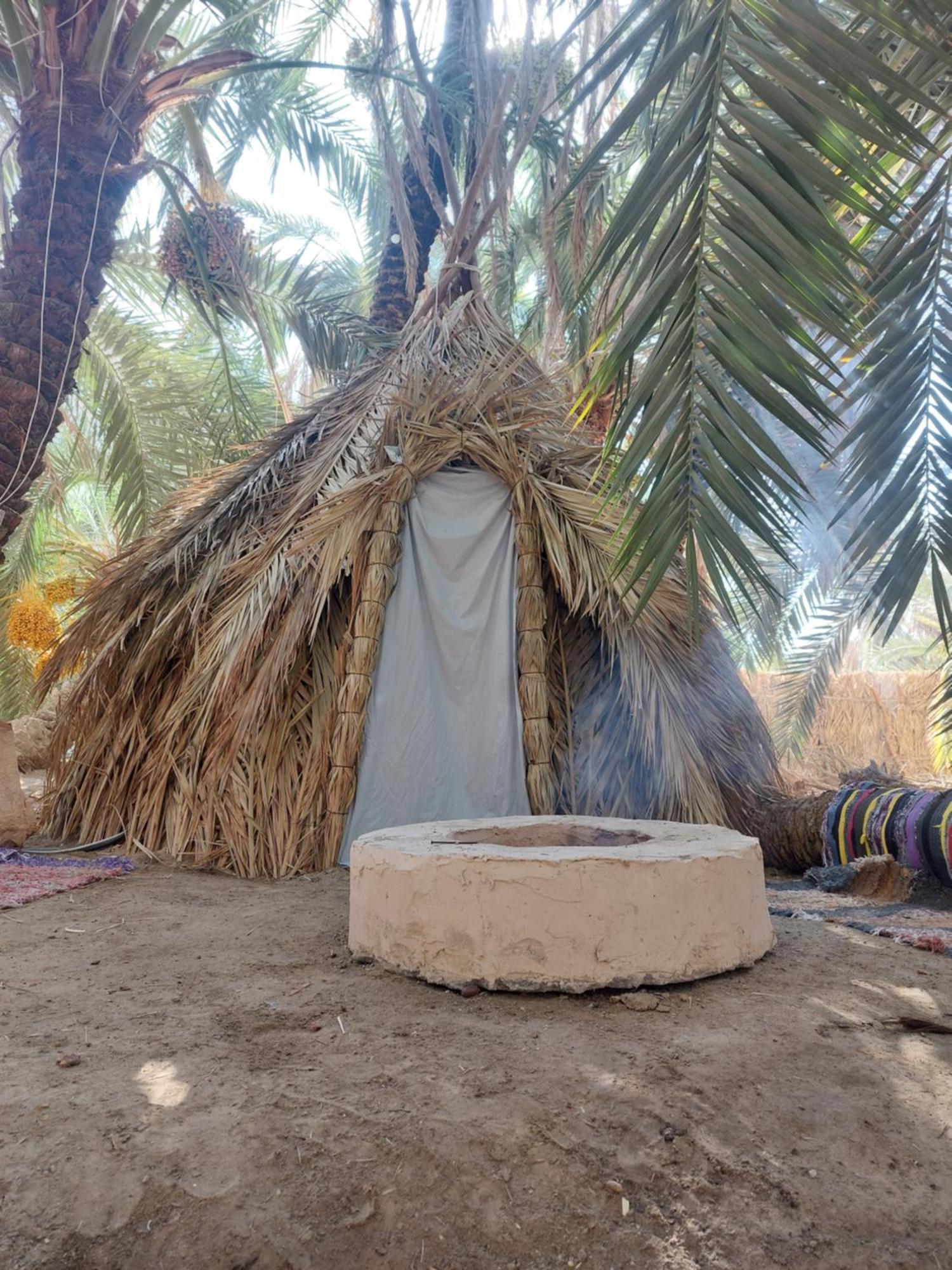 Forest Camp Siwa - كامب الغابة Siwa Oasis Exteriör bild