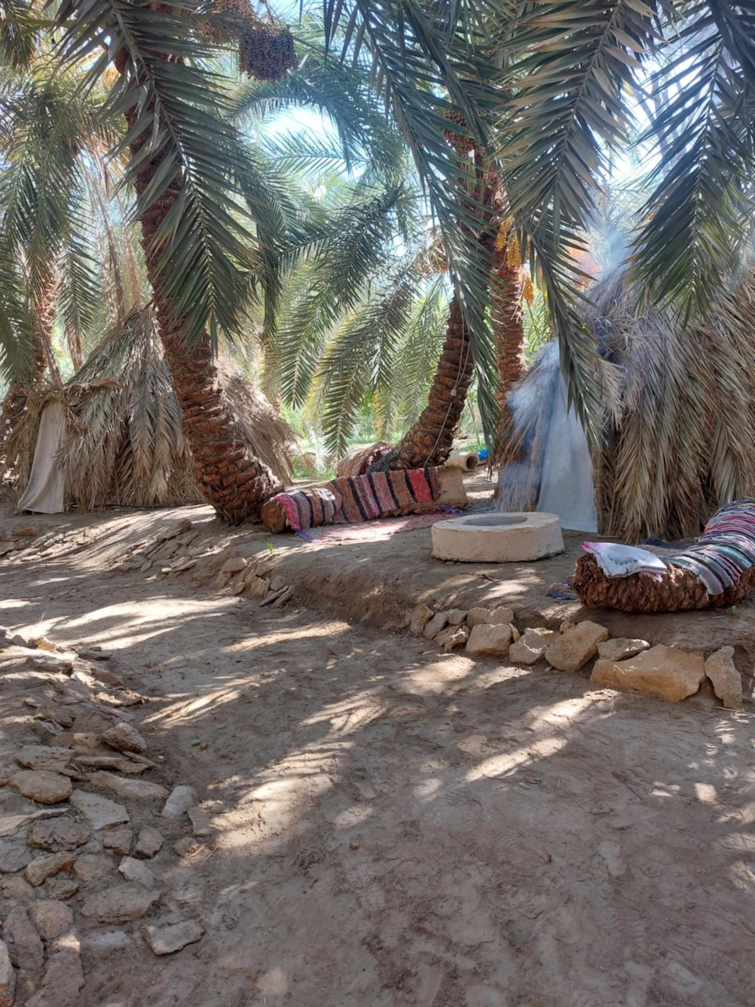 Forest Camp Siwa - كامب الغابة Siwa Oasis Exteriör bild