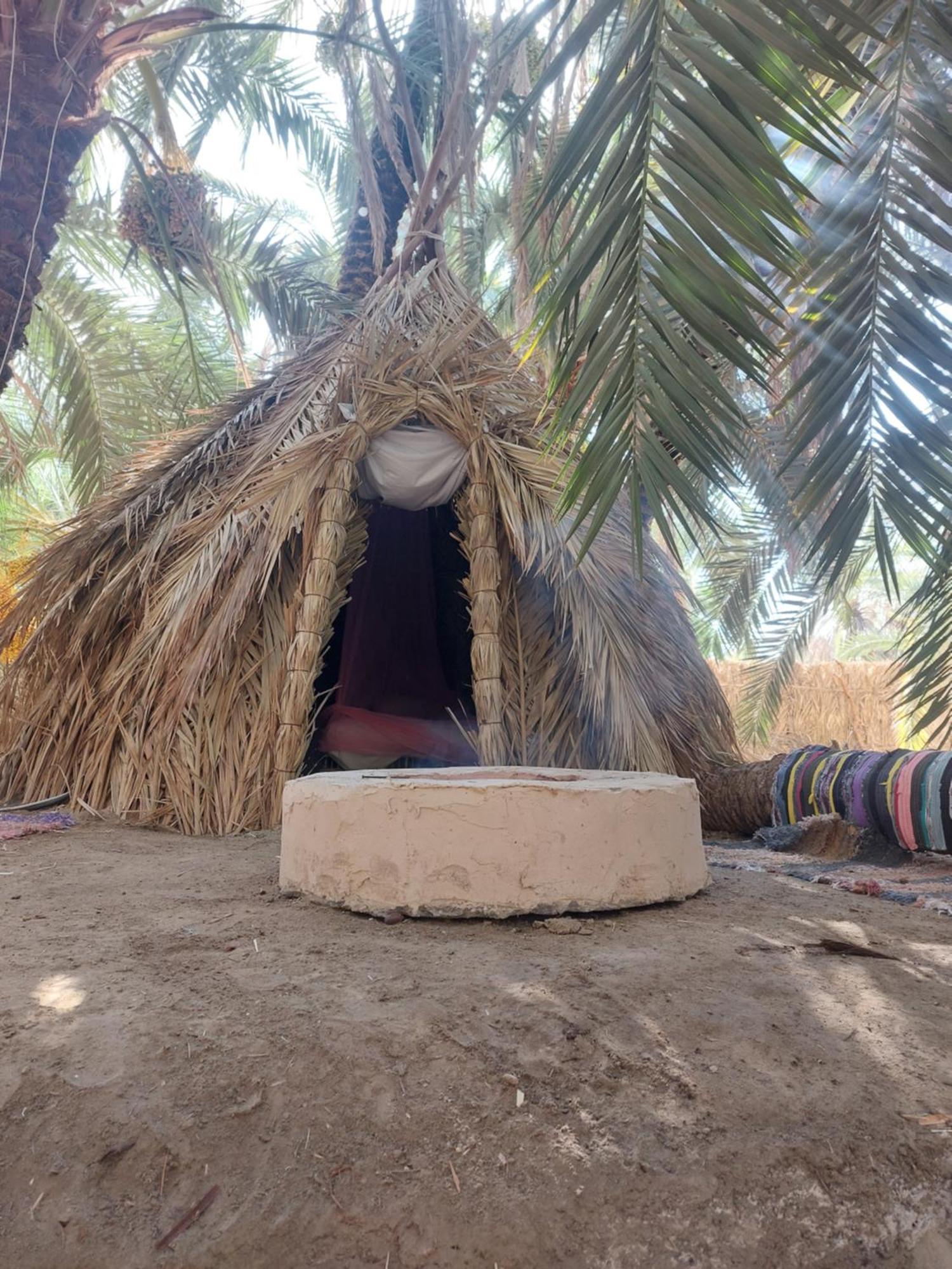 Forest Camp Siwa - كامب الغابة Siwa Oasis Exteriör bild