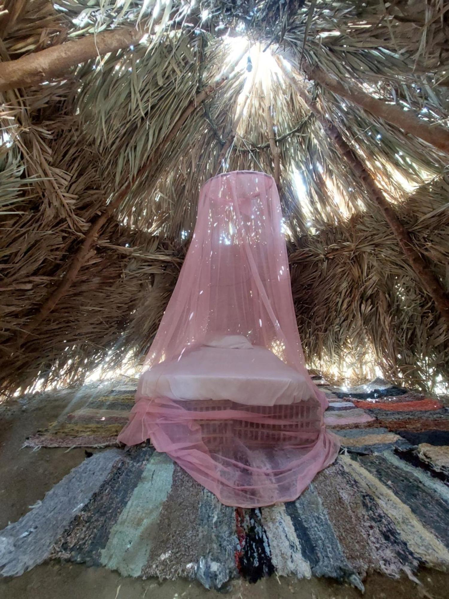 Forest Camp Siwa - كامب الغابة Siwa Oasis Exteriör bild