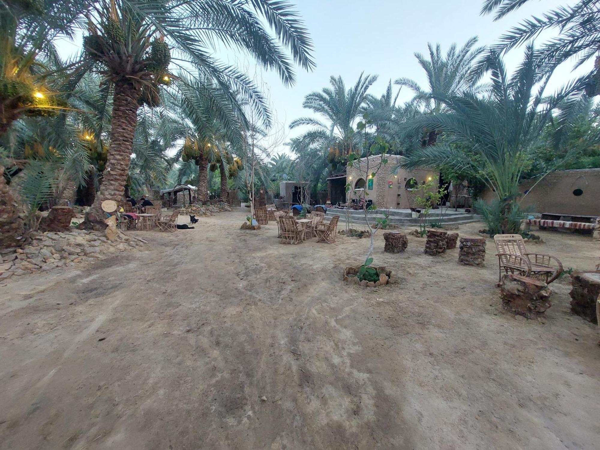 Forest Camp Siwa - كامب الغابة Siwa Oasis Exteriör bild