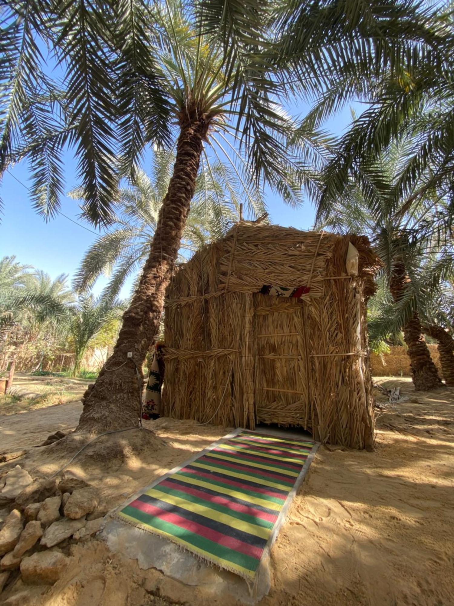 Forest Camp Siwa - كامب الغابة Siwa Oasis Exteriör bild