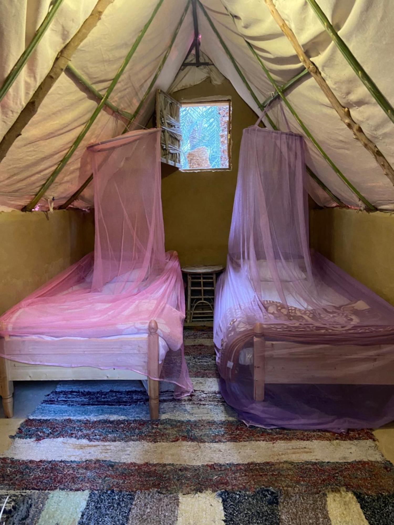 Forest Camp Siwa - كامب الغابة Siwa Oasis Exteriör bild