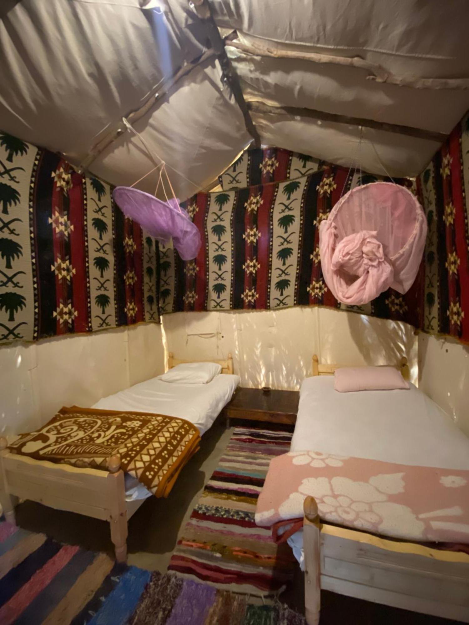 Forest Camp Siwa - كامب الغابة Siwa Oasis Exteriör bild