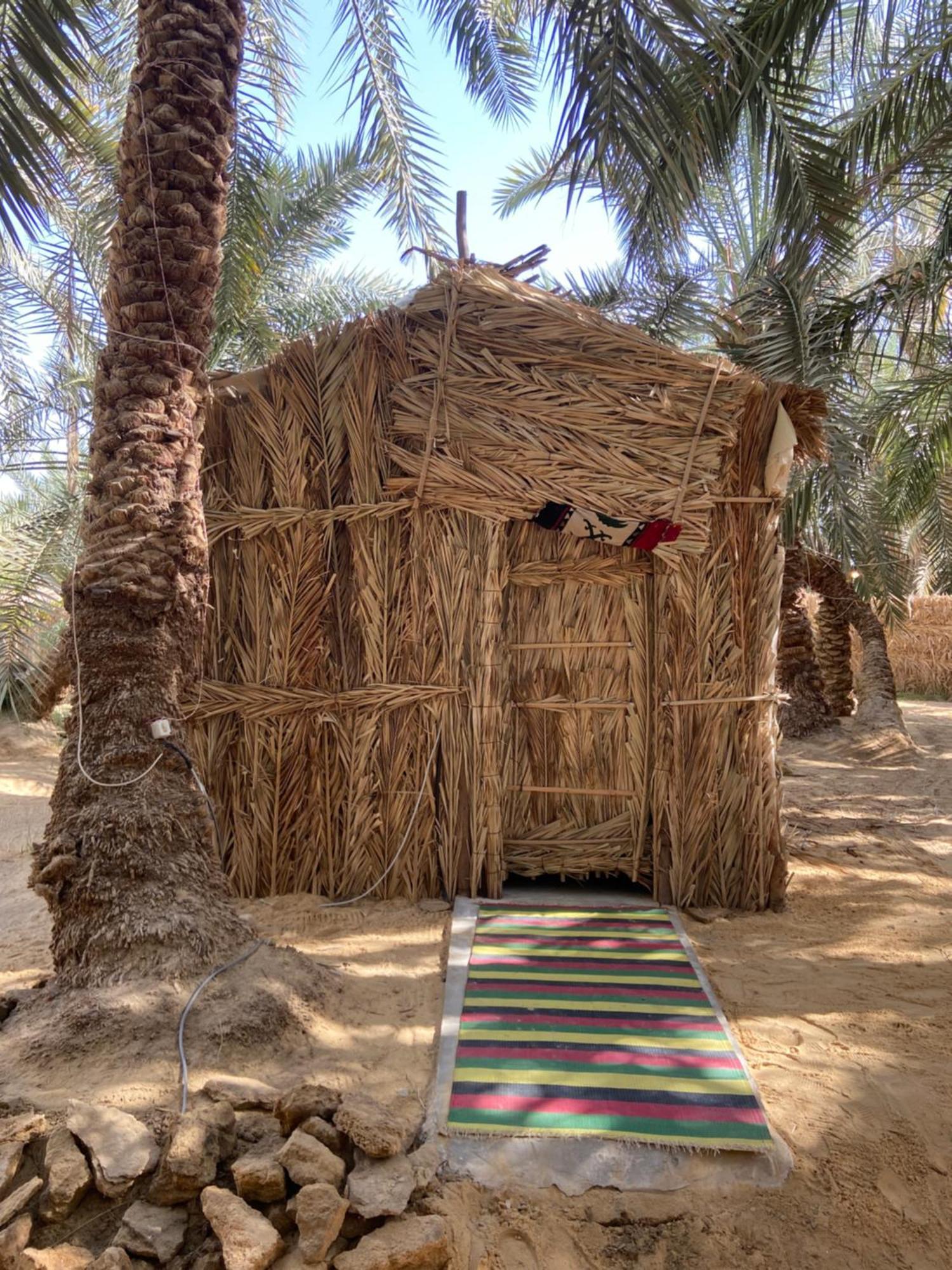 Forest Camp Siwa - كامب الغابة Siwa Oasis Exteriör bild