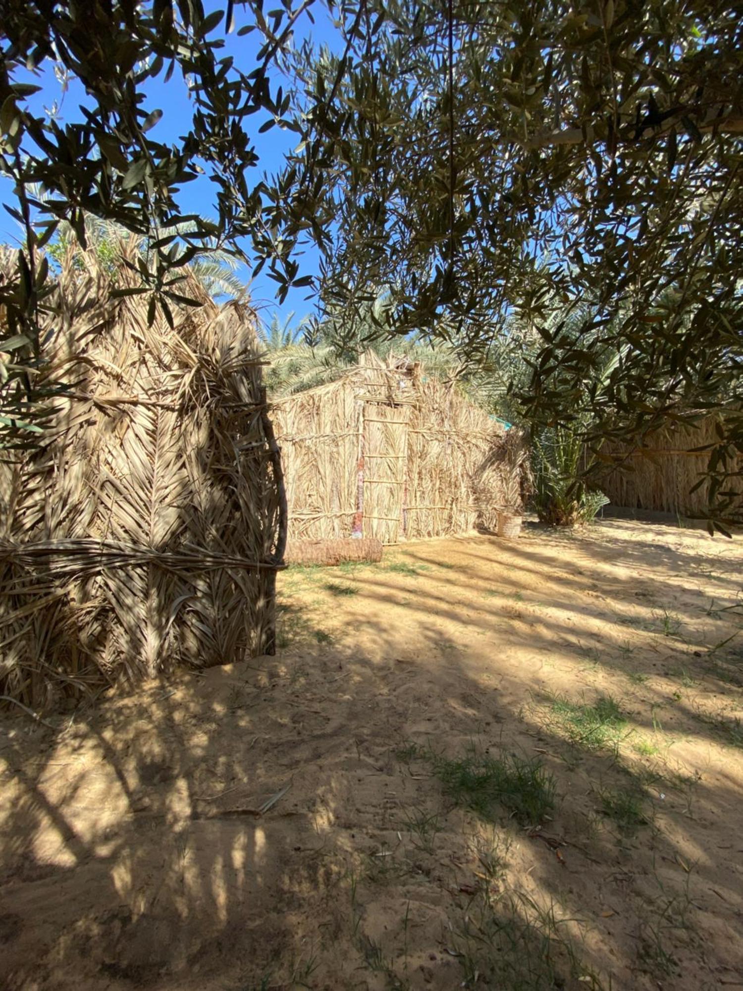 Forest Camp Siwa - كامب الغابة Siwa Oasis Exteriör bild