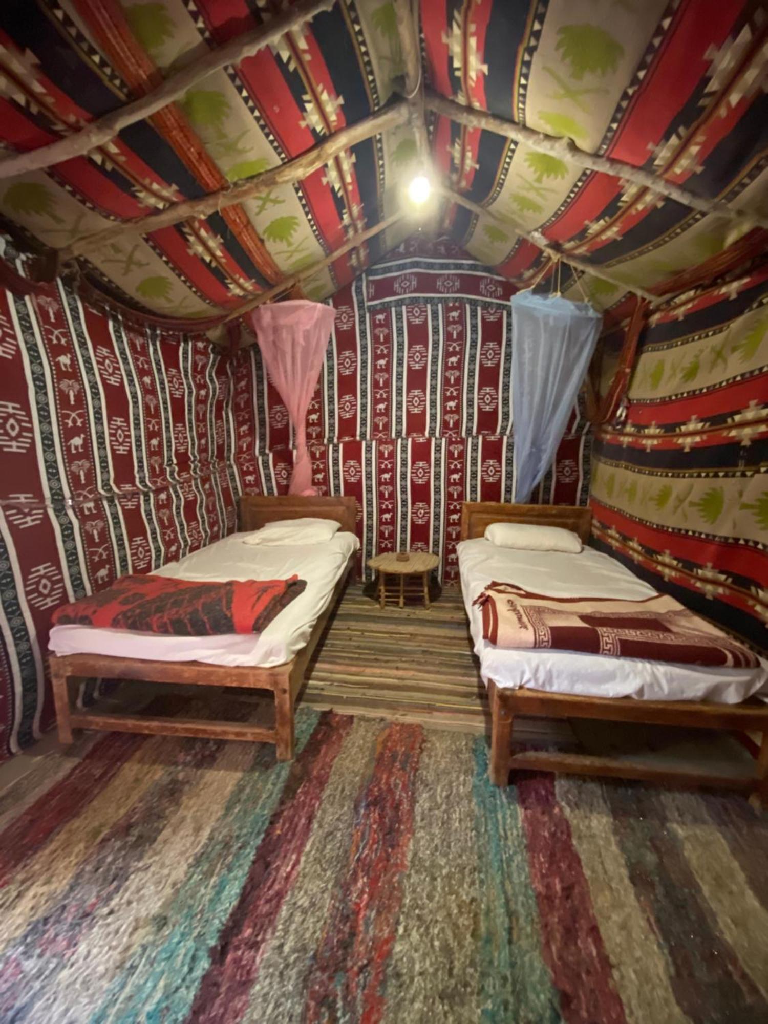 Forest Camp Siwa - كامب الغابة Siwa Oasis Exteriör bild
