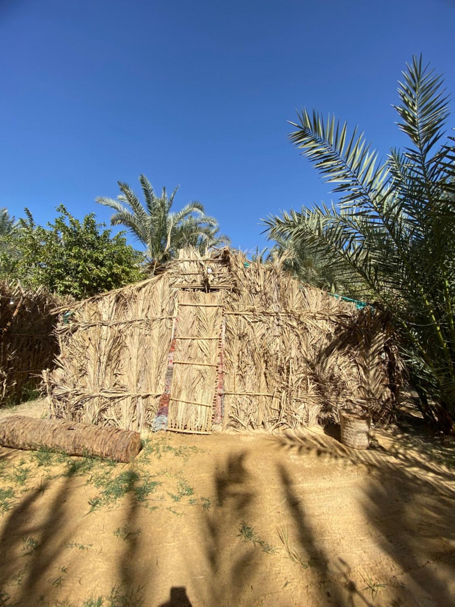 Forest Camp Siwa - كامب الغابة Siwa Oasis Exteriör bild