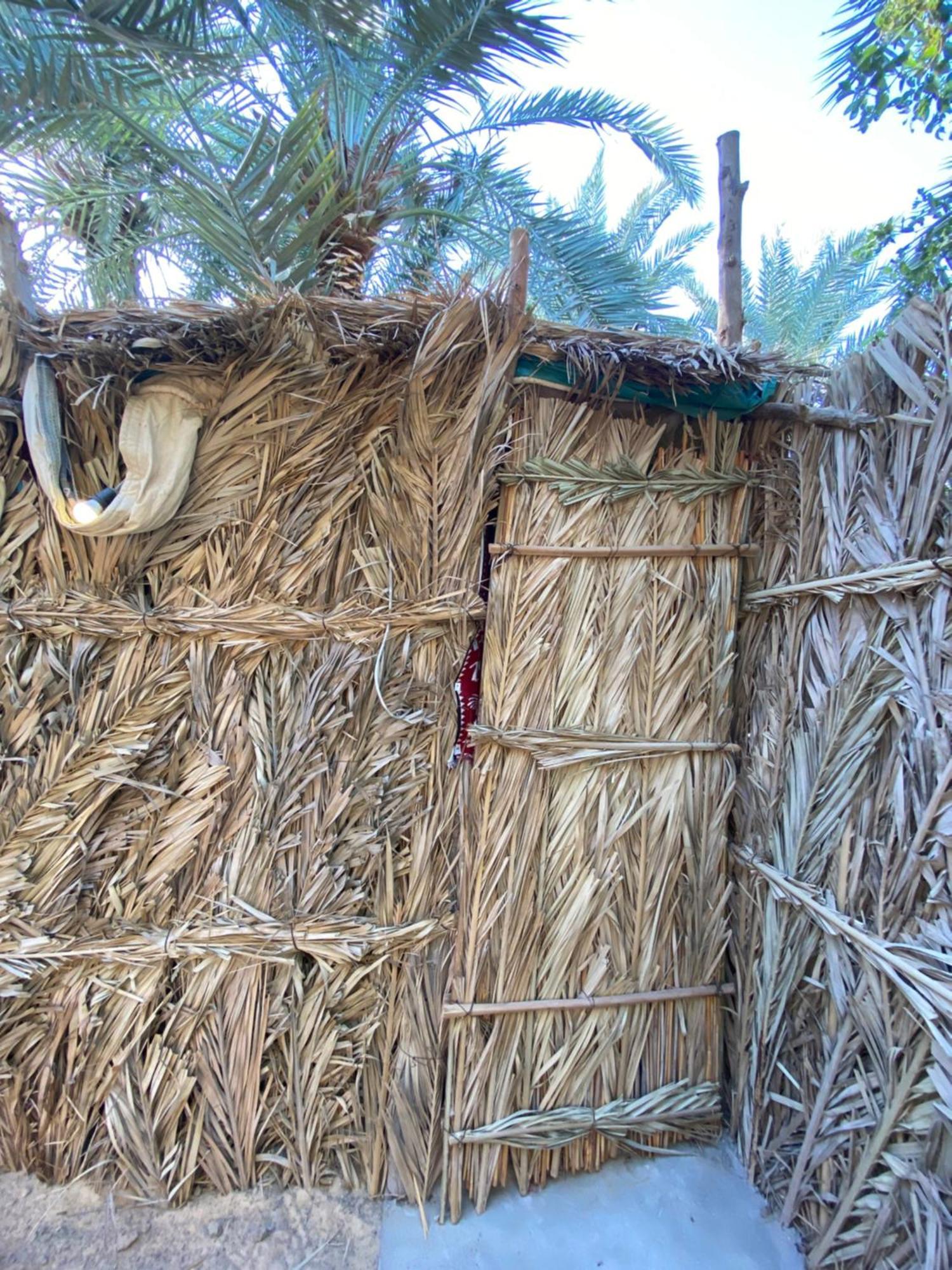 Forest Camp Siwa - كامب الغابة Siwa Oasis Exteriör bild