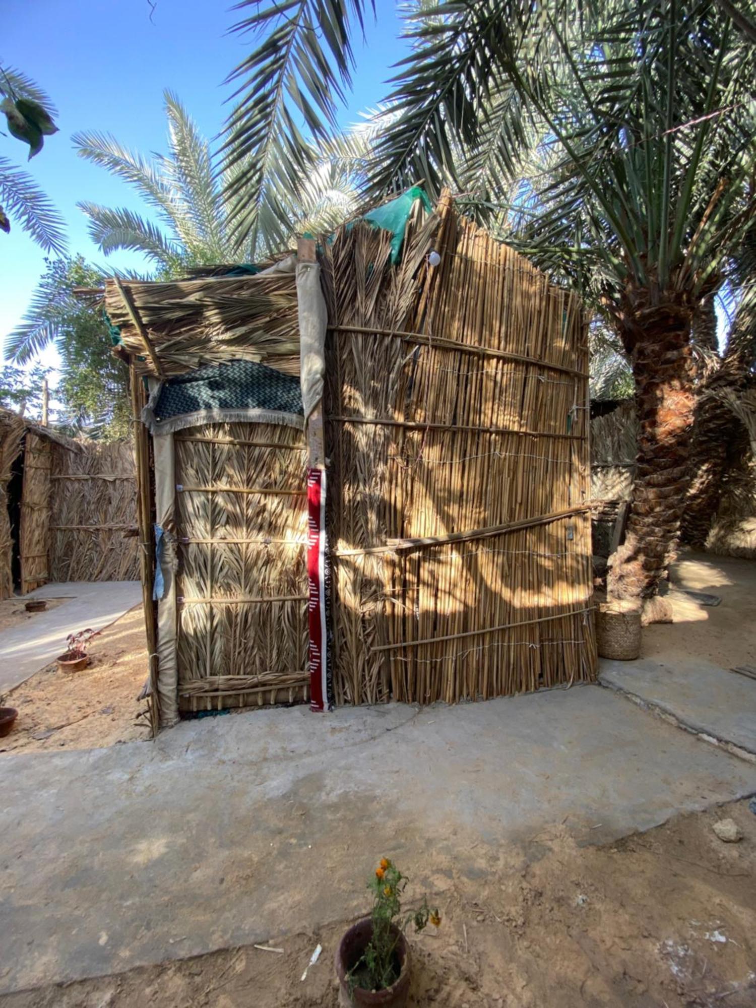 Forest Camp Siwa - كامب الغابة Siwa Oasis Exteriör bild